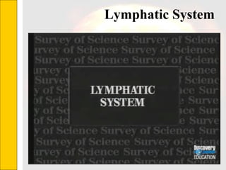 Lymphatic System  
