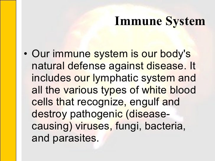 What Are Natural Reflexes That Are In The Human Body What Are Natural Reflexes That Are In The Human Body