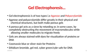 Comprehensive Overview of PCR and Gel Electrophoresis Techniques in ...
