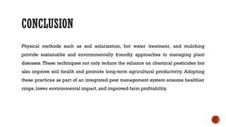 CONCLUSION
Physical methods such as soil solarization, hot water treatment, and mulching
provide sustainable and environmentally friendly approaches to managing plant
diseases. These techniques not only reduce the reliance on chemical pesticides but
also improve soil health and promote long-term agricultural productivity. Adopting
these practices as part of an integrated pest management system ensures healthier
crops, lower environmental impact, and improved farm profitability.
 