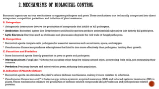 2. MECHANISMS OF BIOLOGICAL CONTROL
Biocontrol agents use various mechanisms to suppress pathogens and pests.These mechanisms can be broadly categorized into direct
antagonism, competition, parasitism, and induction of plant resistance.
A. Antagonism
 Antagonistic interactions involve the production of compounds that inhibit or kill pathogens.
 Antibiotics: Biocontrol agents like Streptomyces and Bacillus species produce antimicrobial substances that directly kill pathogens.
 Lytic Enzymes: Enzymes such as chitinases and glucanases degrade the cell walls of fungal pathogens.
B. Competition
 Biocontrol agents compete with pathogens for essential resources such as nutrients, space, and oxygen.
 Pseudomonas fluorescens produces siderophores that bind to iron more effectively than pathogens, limiting their growth.
C. Parasitism and Predation
 Some biocontrol agents directly parasitize or prey on pests and pathogens.
 Mycoparasitism: Fungi like Trichoderma parasitize other fungi by coiling around them, penetrating their cells, and consuming their
contents.
 Predation: Predatory insects and mites feed on pests, reducing their population.
D. Induction of Plant Resistance
 Biocontrol agents can stimulate the plant’s natural defense mechanisms, making it more resistant to infections.
 Pseudomonas fluorescens and Trichoderma spp. induce systemic acquired resistance (SAR) and induced systemic resistance (ISR) in
plants.These mechanisms enhance the production of defense-related compounds like phytoalexins and pathogenesis-related
proteins.
 