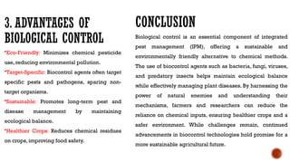 3. ADVANTAGES OF
BIOLOGICAL CONTROL
•Eco-Friendly: Minimizes chemical pesticide
use, reducing environmental pollution.
•Target-Specific: Biocontrol agents often target
specific pests and pathogens, sparing non-
target organisms.
•Sustainable: Promotes long-term pest and
disease management by maintaining
ecological balance.
•Healthier Crops: Reduces chemical residues
on crops, improving food safety.
CONCLUSION
Biological control is an essential component of integrated
pest management (IPM), offering a sustainable and
environmentally friendly alternative to chemical methods.
The use of biocontrol agents such as bacteria, fungi, viruses,
and predatory insects helps maintain ecological balance
while effectively managing plant diseases. By harnessing the
power of natural enemies and understanding their
mechanisms, farmers and researchers can reduce the
reliance on chemical inputs, ensuring healthier crops and a
safer environment. While challenges remain, continued
advancements in biocontrol technologies hold promise for a
more sustainable agricultural future.
 