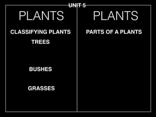 PLANTS
TREES
CLASSIFYING PLANTS PARTS OF A PLANTS
UNIT 5
PLANTS
BUSHES
GRASSES
 