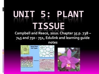 UNIT 5: PLANT
    TISSUE
Campbell and Reece, 2010. Chapter 35 p. 738 –
 745 and 750 - 751, Edulink and learning guide
                     notes
 