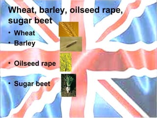 Wheat, barley, oilseed rape, sugar beet Wheat Barley Oilseed rape Sugar beet 