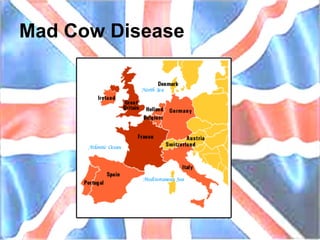 Mad Cow Disease 