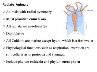 Unit 5 Radiata = invertebrate Zoology.pptx
