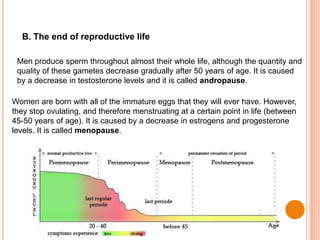 B. The end of reproductive life
Men produce sperm throughout almost their whole life, although the quantity and
quality of these gametes decrease gradually after 50 years of age. It is caused
by a decrease in testosterone levels and it is called andropause.
Women are born with all of the immature eggs that they will ever have. However,
they stop ovulating, and therefore menstruating at a certain point in life (between
45-50 years of age). It is caused by a decrease in estrogens and progesterone
levels. It is called menopause.
 