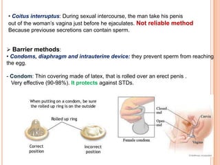 • Coitus interruptus: During sexual intercourse, the man take his penis
out of the woman’s vagina just before he ejaculates. Not reliable method
Because previouse secretions can contain sperm.
 Barrier methods:
• Condoms, diaphragm and intrauterine device: they prevent sperm from reaching
the egg.
- Condom: Thin covering made of latex, that is rolled over an erect penis .
Very effective (90-98%). It protects against STDs.
 