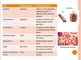 STD Microorganism Firsts Symptoms
Syphilis Bacteria Ulcers on the genitalia,
called chancres. It
affects to the nervous
system.
Gonorrhoea Bacteria Painful urination and
inflammation of the
genitalia.
Candidiasis Fungus Irritation of the vagina
an inflammation of the
glans.
Genital herpes Virus Sores on the genitals
and anus.
Hepatitis B Virus Inflammation of the
liver.
AIDS HIV virus Serious weakening of
the immune system.
Human Papilloma
Virus
Virus It could cause cervix
cancer.
chancres
Neisseria gonorrheae
 