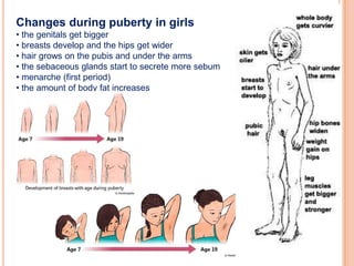 Changes during puberty in girls
• the genitals get bigger
• breasts develop and the hips get wider
• hair grows on the pubis and under the arms
• the sebaceous glands start to secrete more sebum
• menarche (first period)
• the amount of body fat increases
 