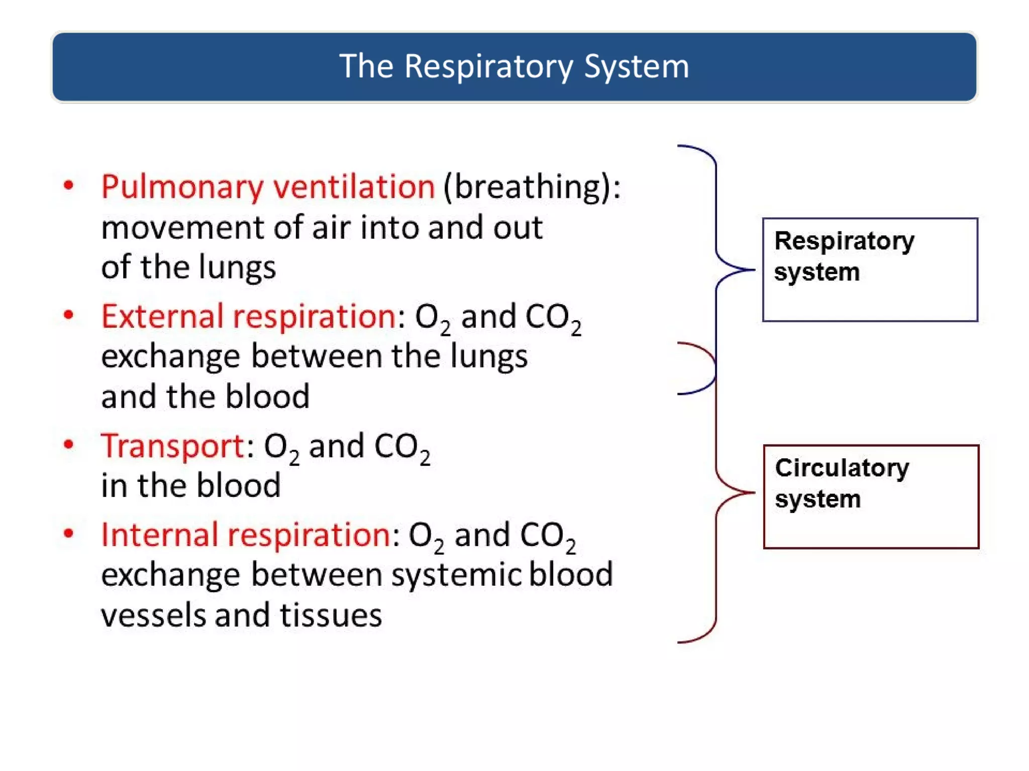Unit 5 respiratory system nrs 237 new | PPT
