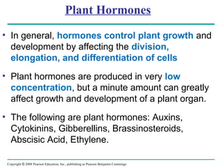 Copyright © 2008 Pearson Education, Inc., publishing as Pearson Benjamin Cummings
Plant Hormones
• In general, hormones control plant growth and
development by affecting the division,
elongation, and differentiation of cells
• Plant hormones are produced in very low
concentration, but a minute amount can greatly
affect growth and development of a plant organ.
• The following are plant hormones: Auxins,
Cytokinins, Gibberellins, Brassinosteroids,
Abscisic Acid, Ethylene.
 