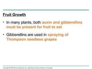 Copyright © 2008 Pearson Education, Inc., publishing as Pearson Benjamin Cummings
Fruit Growth
• In many plants, both auxin and gibberellins
must be present for fruit to set
• Gibberellins are used in spraying of
Thompson seedless grapes
 