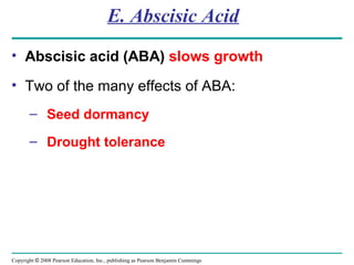 Copyright © 2008 Pearson Education, Inc., publishing as Pearson Benjamin Cummings
E. Abscisic Acid
• Abscisic acid (ABA) slows growth
• Two of the many effects of ABA:
– Seed dormancy
– Drought tolerance
 