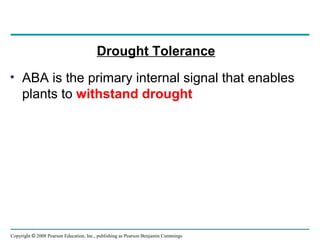 Copyright © 2008 Pearson Education, Inc., publishing as Pearson Benjamin Cummings
Drought Tolerance
• ABA is the primary internal signal that enables
plants to withstand drought
 