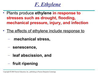 Copyright © 2008 Pearson Education, Inc., publishing as Pearson Benjamin Cummings
F. Ethylene
• Plants produce ethylene in response to
stresses such as drought, flooding,
mechanical pressure, injury, and infection
• The effects of ethylene include response to
– mechanical stress,
– senescence,
– leaf abscission, and
– fruit ripening
 