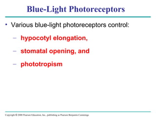 Copyright © 2008 Pearson Education, Inc., publishing as Pearson Benjamin Cummings
Blue-Light Photoreceptors
• Various blue-light photoreceptors control:
– hypocotyl elongation,
– stomatal opening, and
– phototropism
 