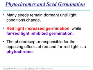 Copyright © 2008 Pearson Education, Inc., publishing as Pearson Benjamin Cummings
Phytochromes and Seed Germination
• Many seeds remain dormant until light
conditions change.
• Red light increased germination, while
far-red light inhibited germination.
• The photoreceptor responsible for the
opposing effects of red and far-red light is a
phytochrome.
 