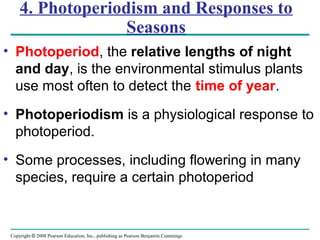 Copyright © 2008 Pearson Education, Inc., publishing as Pearson Benjamin Cummings
4. Photoperiodism and Responses to
Seasons
• Photoperiod, the relative lengths of night
and day, is the environmental stimulus plants
use most often to detect the time of year.
• Photoperiodism is a physiological response to
photoperiod.
• Some processes, including flowering in many
species, require a certain photoperiod
 
