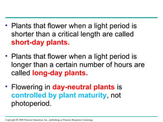 Copyright © 2008 Pearson Education, Inc., publishing as Pearson Benjamin Cummings
• Plants that flower when a light period is
shorter than a critical length are called
short-day plants.
• Plants that flower when a light period is
longer than a certain number of hours are
called long-day plants.
• Flowering in day-neutral plants is
controlled by plant maturity, not
photoperiod.
 