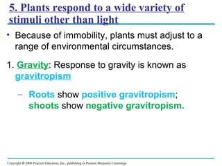Copyright © 2008 Pearson Education, Inc., publishing as Pearson Benjamin Cummings
5. Plants respond to a wide variety of
stimuli other than light
• Because of immobility, plants must adjust to a
range of environmental circumstances.
1. Gravity: Response to gravity is known as
gravitropism
– Roots show positive gravitropism;
shoots show negative gravitropism.
 