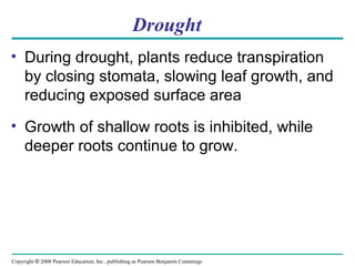 Copyright © 2008 Pearson Education, Inc., publishing as Pearson Benjamin Cummings
Drought
• During drought, plants reduce transpiration
by closing stomata, slowing leaf growth, and
reducing exposed surface area
• Growth of shallow roots is inhibited, while
deeper roots continue to grow.
 