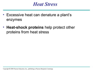 Copyright © 2008 Pearson Education, Inc., publishing as Pearson Benjamin Cummings
Heat Stress
• Excessive heat can denature a plant’s
enzymes
• Heat-shock proteins help protect other
proteins from heat stress
 