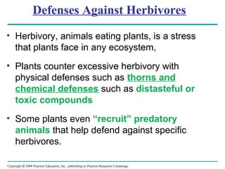 Copyright © 2008 Pearson Education, Inc., publishing as Pearson Benjamin Cummings
Defenses Against Herbivores
• Herbivory, animals eating plants, is a stress
that plants face in any ecosystem,
• Plants counter excessive herbivory with
physical defenses such as thorns and
chemical defenses such as distasteful or
toxic compounds
• Some plants even “recruit” predatory
animals that help defend against specific
herbivores.
 