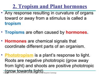 Copyright © 2008 Pearson Education, Inc., publishing as Pearson Benjamin Cummings
2. Tropism and Plant hormones
• Any response resulting in curvature of organs
toward or away from a stimulus is called a
tropism
• Tropisms are often caused by hormones.
• Hormones are chemical signals that
coordinate different parts of an organism.
• Phototropism is a plant’s response to light.
Roots are negative phototropic (grow away
from light) and shoots are positive phototropic
(grow towards light)
 