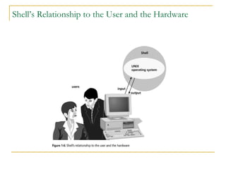 Shell’s Relationship to the User and the Hardware
 