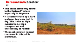 Xerokaolisols/Xeroferr
al
08/02/2023 12:05 carra Dusabimana Jean D Amour
• This soil is commonly found
in the Eastern Province
especially in Bugesera.
• It is characterised by a hard
and poor top layer that is
dry. This is due to high
evaporation, evapo-
transpiration and
unreliability of rainfall.
• The most common mineral
contained in this soil is
aluminium.
 