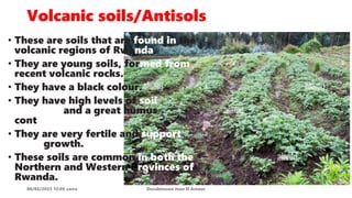 Volcanic soils/Antisols
08/02/2023 12:05 carra Dusabimana Jean D Amour
• These are soils that are found in the
volcanic regions of Rwanda.
• They are young soils, formed from
recent volcanic rocks.
• They have a black colour.
• They have high levels of soil
nutrients and a great humus
content.
• They are very fertile and support
plant growth.
• These soils are common in both the
Northern and Western Provinces of
Rwanda.
 