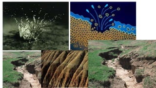 08/02/2023 12:05 carra Dusabimana Jean D Amour
 