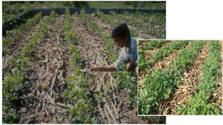 08/02/2023 12:05 carra Dusabimana Jean D Amour
 