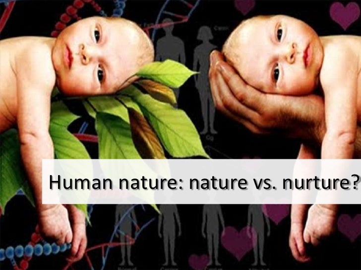 Essay nature vs nurture socialization
