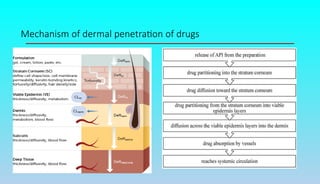Mechanism of dermal penetration of drugs
 