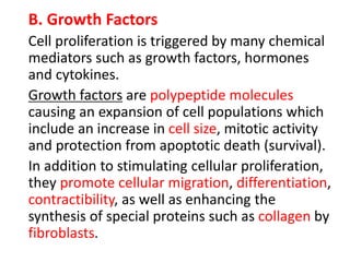 B. Growth Factors
Cell proliferation is triggered by many chemical
mediators such as growth factors, hormones
and cytokines.
Growth factors are polypeptide molecules
causing an expansion of cell populations which
include an increase in cell size, mitotic activity
and protection from apoptotic death (survival).
In addition to stimulating cellular proliferation,
they promote cellular migration, differentiation,
contractibility, as well as enhancing the
synthesis of special proteins such as collagen by
fibroblasts.
 
