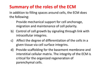 Summary of the roles of the ECM
In addition to filling spaces around cells, the ECM does
the following:
a) Provide mechanical support for cell anchorage,
migration and maintenance of cell polarity.
b) Control of cell growth by signaling through link with
intracellular integrins.
c) Affect the degree of differentiation of the cells in a
given tissue via cell surface integrins.
d) Provide scaffolding for the basement membrane and
interstitial cellular matrix. The integrity of the ECM is
critical for the organized regeneration of
parenchymal cells.
 