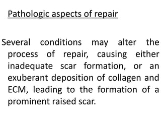 Pathologic aspects of repair
Several conditions may alter the
process of repair, causing either
inadequate scar formation, or an
exuberant deposition of collagen and
ECM, leading to the formation of a
prominent raised scar.
 