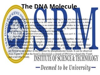The DNA Molecule
• Another important feature of the nucleotide bonding is that any two nucleotides can
link together to form a sequence in the same way as several symbols form a string.
• As for symbols on a string, there is no restriction on nucleotides in the sequence.
• However, the bonds between the bases can only occur by the pairwise attraction of
the following bases: A binds with T, and G binds with C.
⚬ This is called the Watson-Crick complementarity , after J. D. Watson and F. H. C. Crick who
discovered the double helix structure of DNA.
• Since DNA consists of two complementary strands bond together, these units are
often called base pairs. The length of a DNA sequence is often measured in
thousands of bases, abbreviated kb. Nucleotides are generally abbreviated by their
first letter, and appended into sequences, written, e.g., GTACAGTT. The nucleotides
are linked to each other in the polymer by phosphodiester bonds. It can be observed
from Figure 9.3, that the bond is directional; a strand of DNA has a head (the 5′end)
and a tail (the 3′end).
 