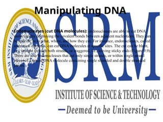 Manipulating DNA
• Endonucleases (cut DNA molecules): endonucleases are able to cut DNA
molecules by destroying the covalent bonds between adjacent nucleotides. They can
be specific as to what, where, and how they cut. For instance, endonucleases, called
restriction enzymes, can cut DNA molecules at specific sites. The cut can be blunt,
i.e., straight through both strands, or staggered, i.e., leaving sticky ends (Figure 9.9).
There are also endonucleases that cut only single strands, or within single strand
pieces of a mixed DNA molecule containing single stranded and double stranded
pieces.
 