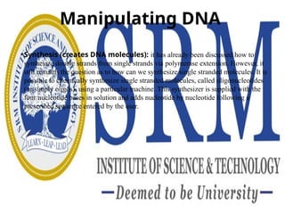 Manipulating DNA
• Synthesis (creates DNA molecules): it has already been discussed how to
synthesize double strands from single strands via polymerase extension. However, it
still remains the question as to how can we synthesize single stranded molecules. It is
possible to chemically synthesize single stranded molecules, called oligonucleotides
(or simply oligos), using a particular machine. This synthesizer is supplied with the
four nucleotide bases in solution and adds nucleotide by nucleotide following a
prescribed sequence entered by the user.
 