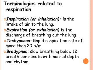 Terminologies related to
respiration
Inspiration (or inhalation): is the
intake of air to the lung.
Expiration (or exhalation) is the
discharge of breathing out the lung
Tachypnoea- Rapid respiration rate of
more than 20 b/m
Bradypnea: slow breathing below 12
breath per minute with normal depth
and rhythm
 