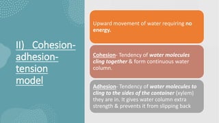 II) Cohesion-
adhesion-
tension
model
Upward movement of water requiring no
energy.
Cohesion- Tendency of water molecules
cling together & form continuous water
column.
Adhesion- Tendency of water molecules to
cling to the sides of the container (xylem)
they are in. It gives water column extra
strength & prevents it from slipping back
 