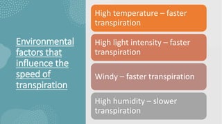 Environmental
factors that
influence the
speed of
transpiration
High temperature – faster
transpiration
High light intensity – faster
transpiration
Windy – faster transpiration
High humidity – slower
transpiration
 