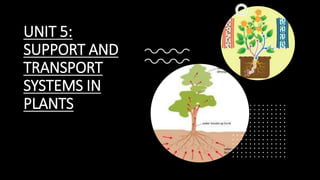 UNIT 5:
SUPPORT AND
TRANSPORT
SYSTEMS IN
PLANTS
 