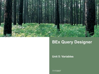BEx Query Designer Unit 5: Variables 7/17/2007 