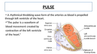 PULSE
• A rhythmical throbbing wave form of the arteries as blood is propelled
through left ventricle of the heart.
•“The pulse is a waveform of
blood movement created by
contraction of the left ventricle
of the heart.”
 