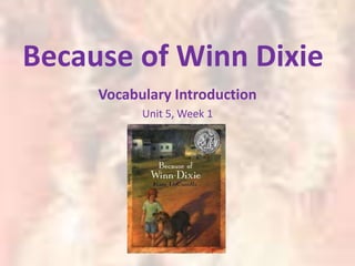 Because of Winn Dixie Vocabulary Introduction Unit 5, Week 1 